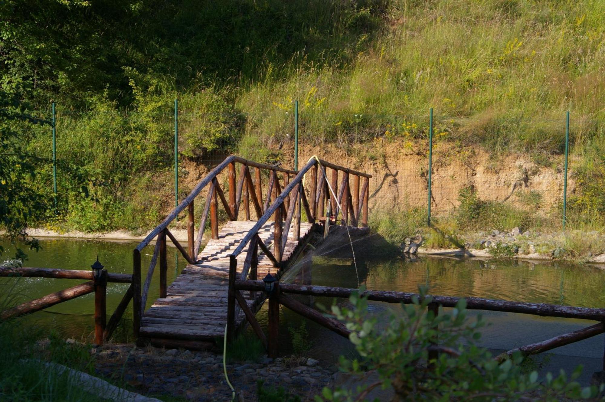 Villa Mark Kraevo Bagian luar foto