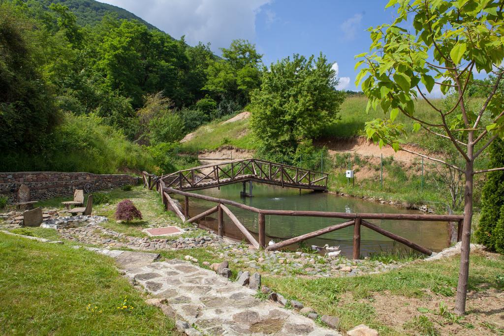 Villa Mark Kraevo Bagian luar foto