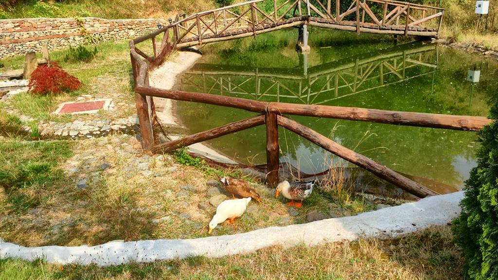Villa Mark Kraevo Bagian luar foto